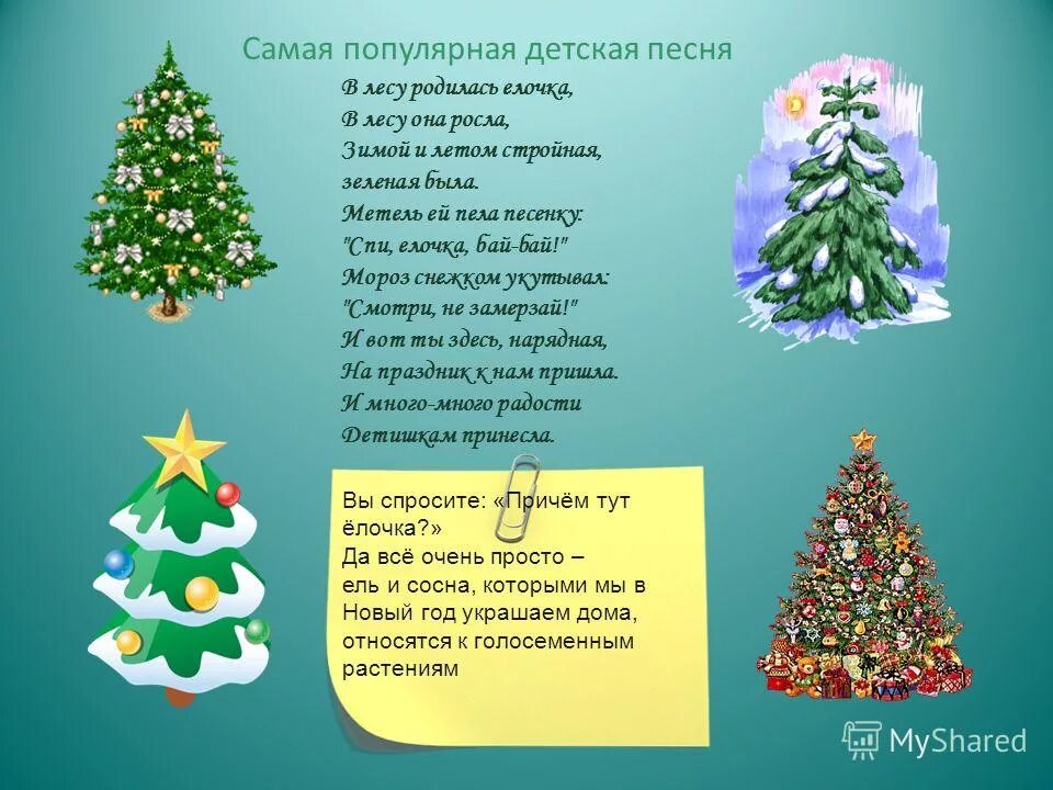 Новогоднюю елочку в лесу родилась елочка. Спи елочка. Спи елочка бай бай. Песня спи ёлочка бай-бай. Елочка слова.