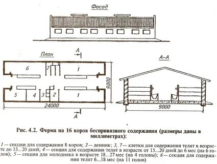 Содержание размер