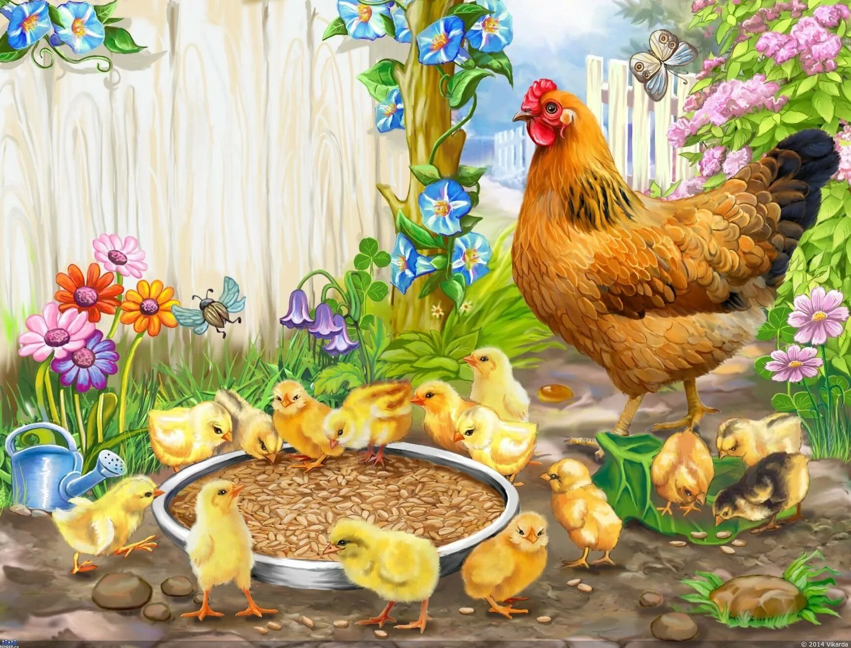 Рисунки с курами. Курица с цыплятами. Птичий двор. Курочка с цыплятами. Курочка с цыплятами для детей.