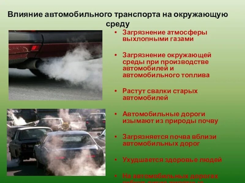 Проект влияние транспорта на окружающую среду