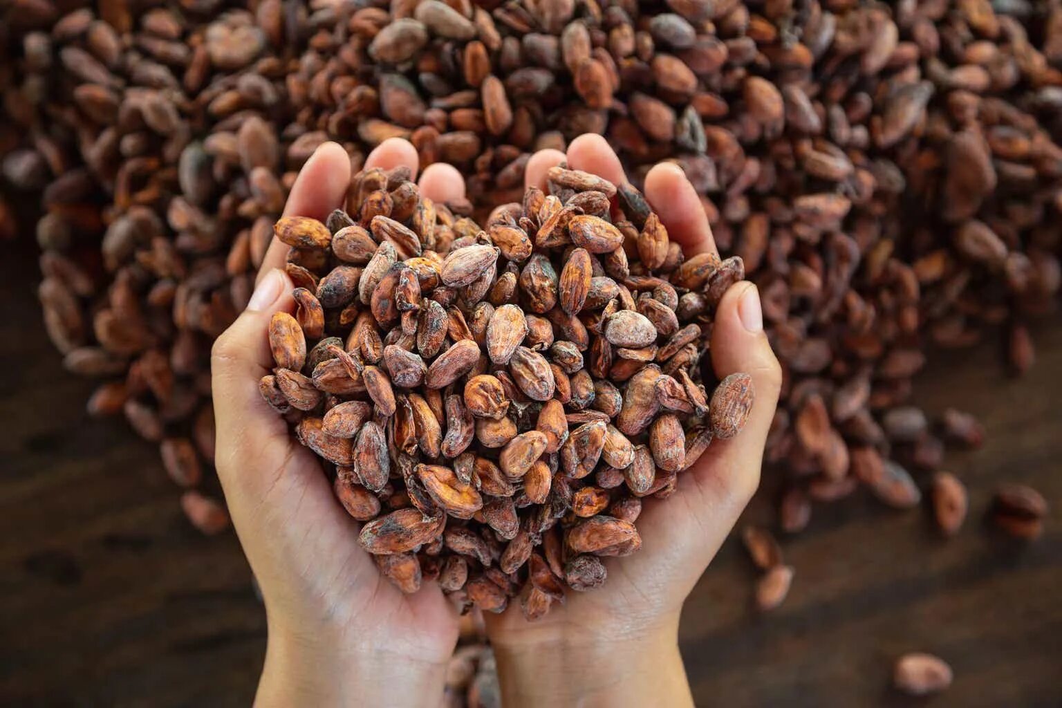 Cocoa