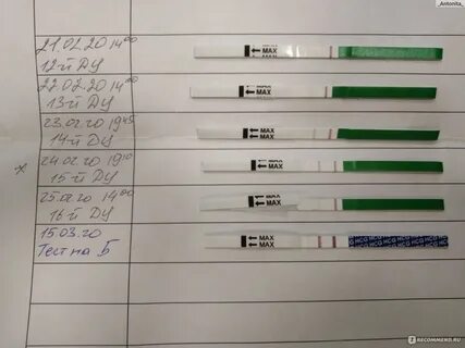 Что покажет тест на овуляцию при беременности