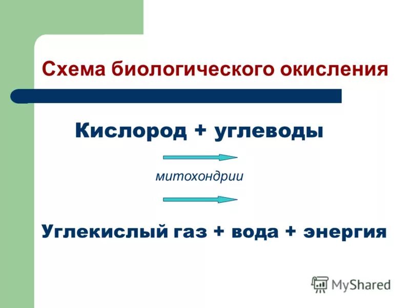 Углекислый газ вода углевод кислород