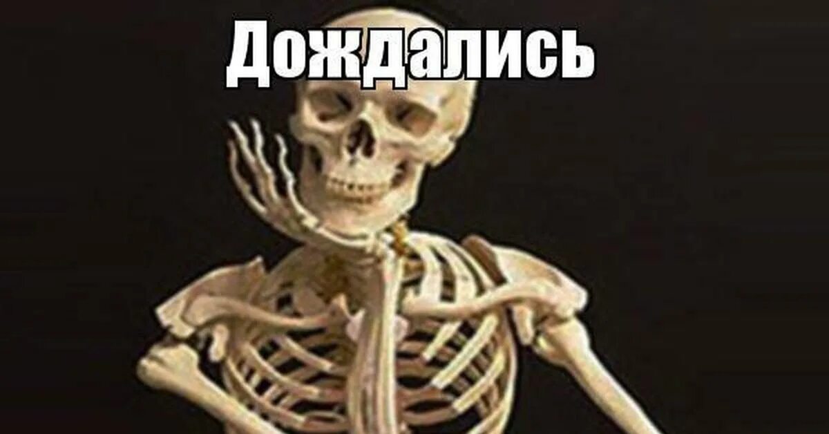 Скелет ответ. Скелет ответ