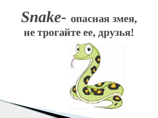 Змея по английскому. Змеи карточки. Карточки по английскому языку для детей змея. Как по английски змей.