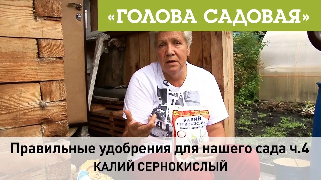 Голова садовая значение. Голова садовая с тетей таней. Голова садовая. Удобрение для плодовых. Тётя таня голова садовая удобрения осенью.