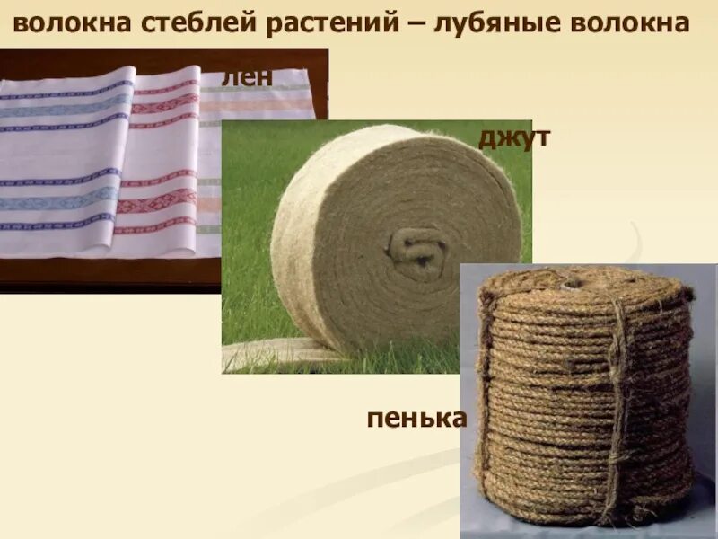 Лубяные волокна это. Лубяные волокна стебля льна. строение волокна льна. пенька ткань. ткани из стеблевые волокна.