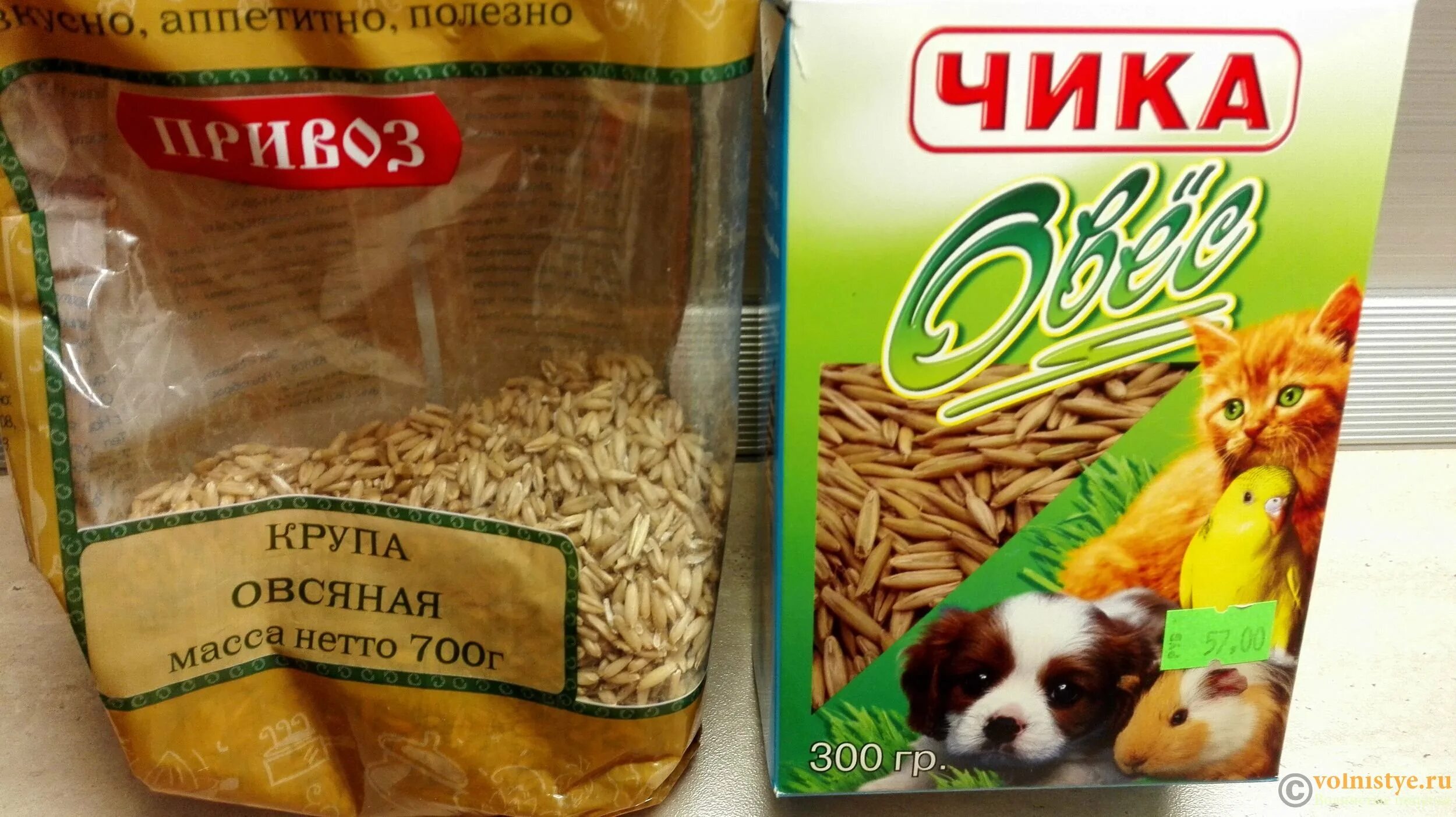 Трава titbit для кошек овес. Триол трава для кошек. Triol травка для животных 70 г. Овес в упаковке. Трава для кошек овес.