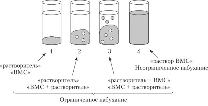 Стадии растворения ВМС. Набухание и растворение высокомолекулярных соединений. Стадии растворения полимеров. Этапы растворения. Набухание биополимеров