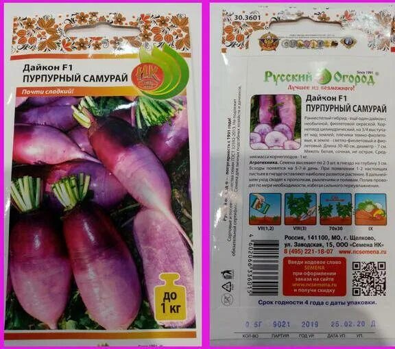 Когда сажают дайкон в открытый грунт семенами. Дайкон миясиге. семена. дайкон &quot;саша&quot;. сорта красного дайкона. дайкон семена лучшие.