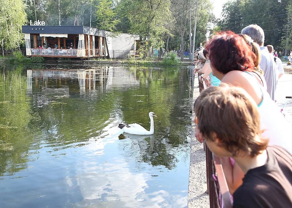 Погода в лебедях калининского района. Хутор лебеди Краснодарский край. Хутор лебеди Краснодарский край Калининский район. Хутор лебеди храм. Краснодар Хутор лебеди.