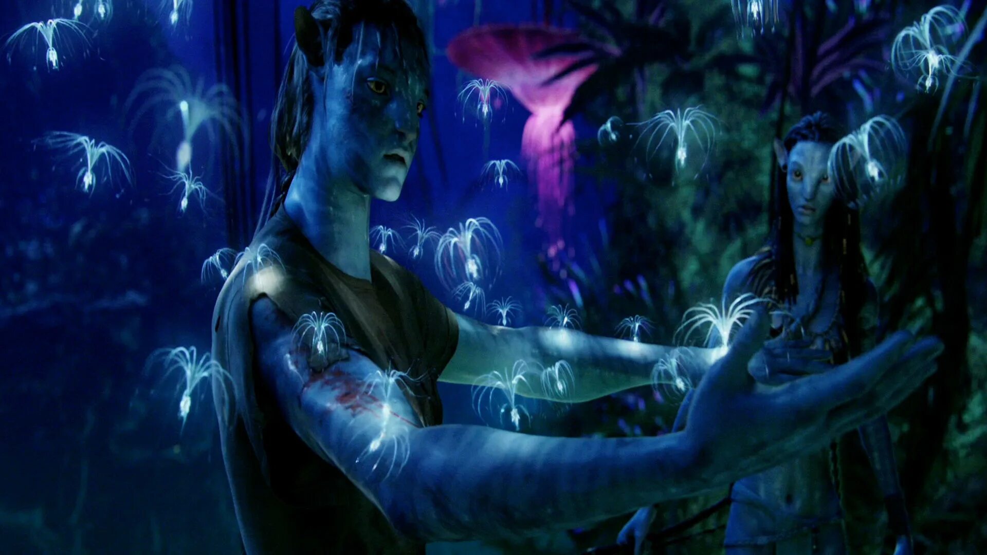 Avatar world 2024 год. Нейтири аватар 2. Аватар Джейк Салли. Аватар фантастический мир Джеймса Кэмерона.