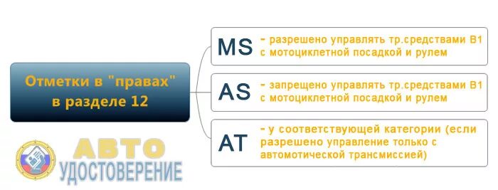 Категории водительских прав b1 as. Расшифровка категорий водительского удостоверения as и в. в1. Расшифровка категорий водительского удостоверения 12 as. As в правах что это обозначает. Категория 12 б