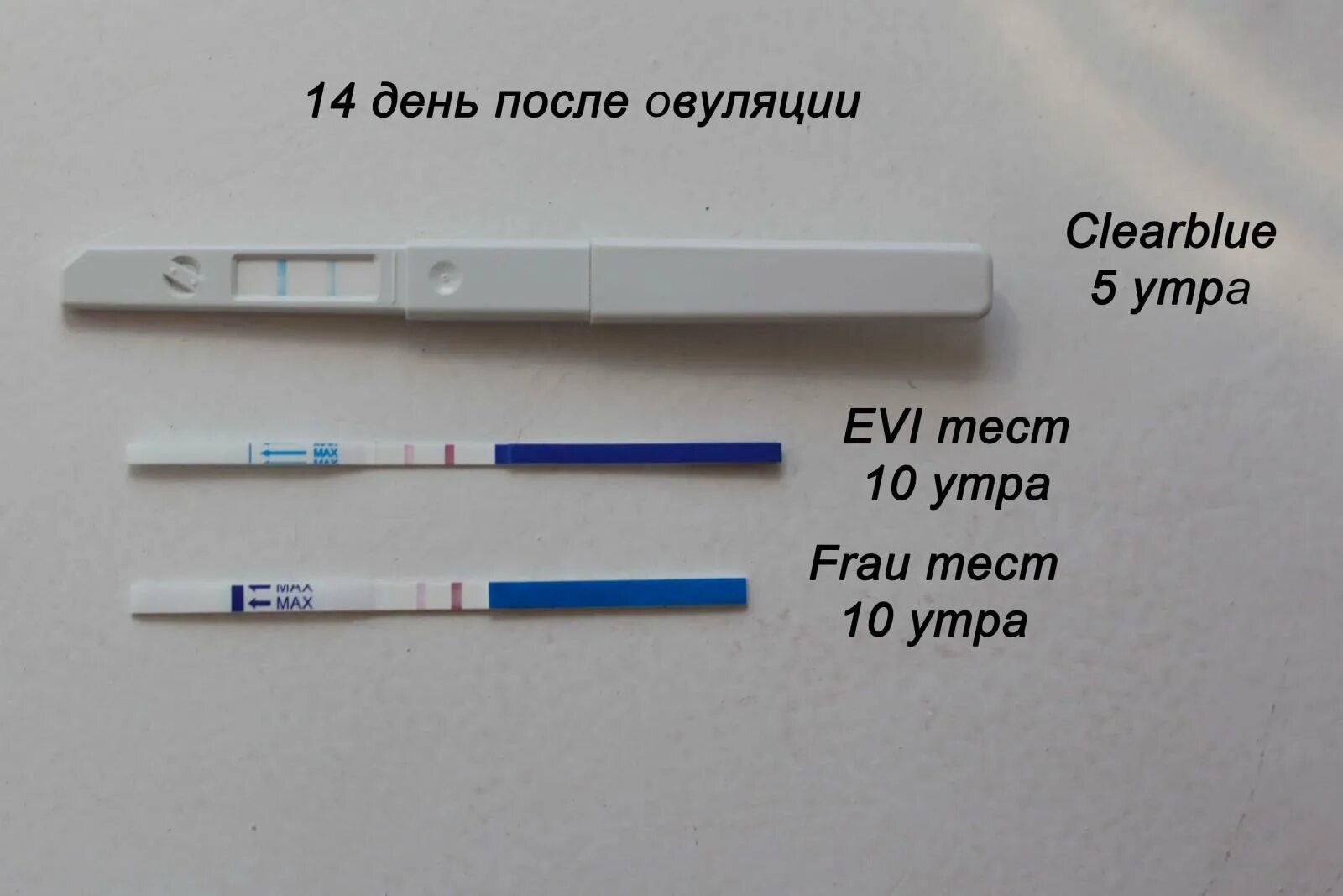 Побаливает низ живота до месячных. При овуляции может болеть низ живота. Задержка месячных после овуляции тест отрицательный. После овуляции тянет низ. После овуляции низ живота.