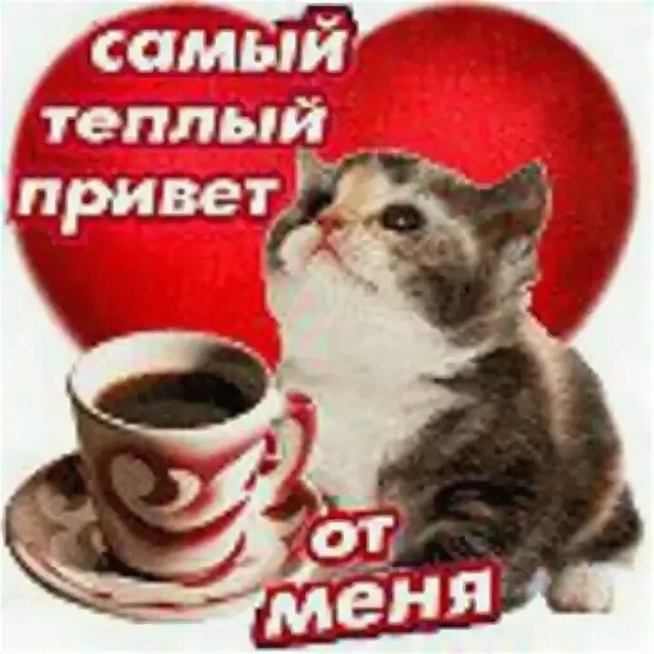 Привет ты самая лучшая. Теплый привет от меня. самый теплый привет. открытка теплый привет от меня. самый тёплый привет от меня.