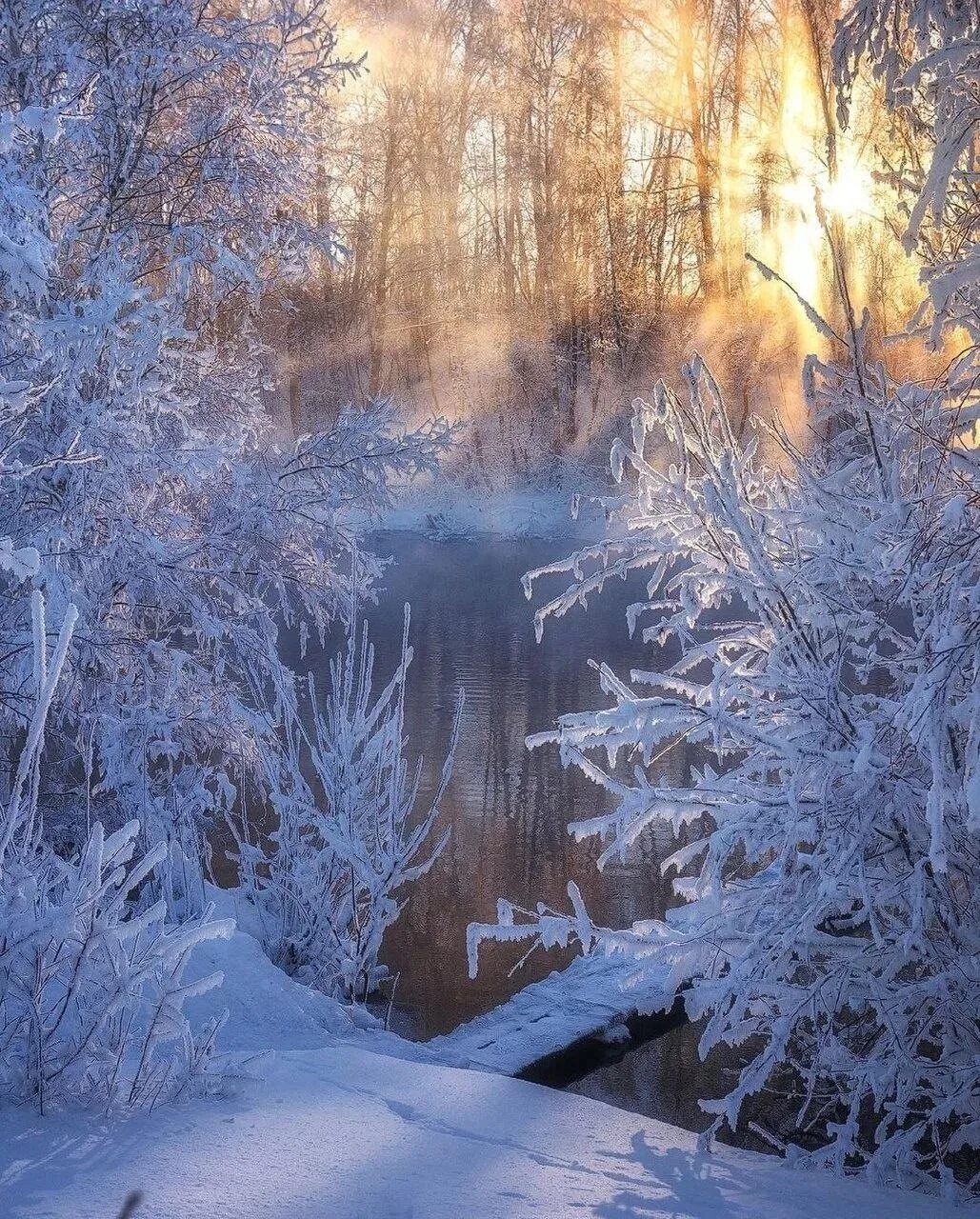 Морозным утренним днем