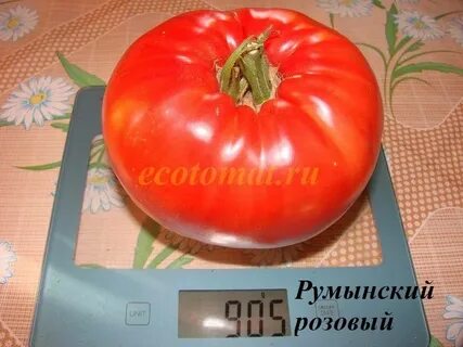 Румынский красный
