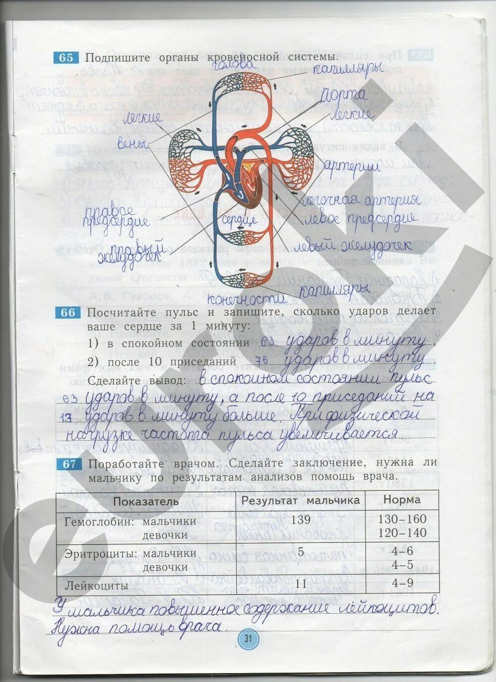 Окружающий мир рабочая тетрадь 2 класс занкова. Рабочая рабочая тетрадь по окружающему миру 4 класс система Занкова. Гдз по окружающему миру 4 класс рабочая тетрадь страница 31. Гдз по окружающему миру 4 класс рабочая тетрадь Дмитриева. Окружающий мир 4 класс рабочая тетрадь стр 17.