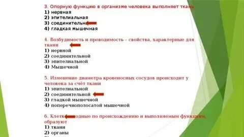 Какая ткань выполняет защитную структуру