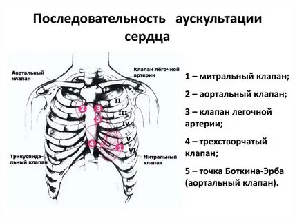 Точка избранное