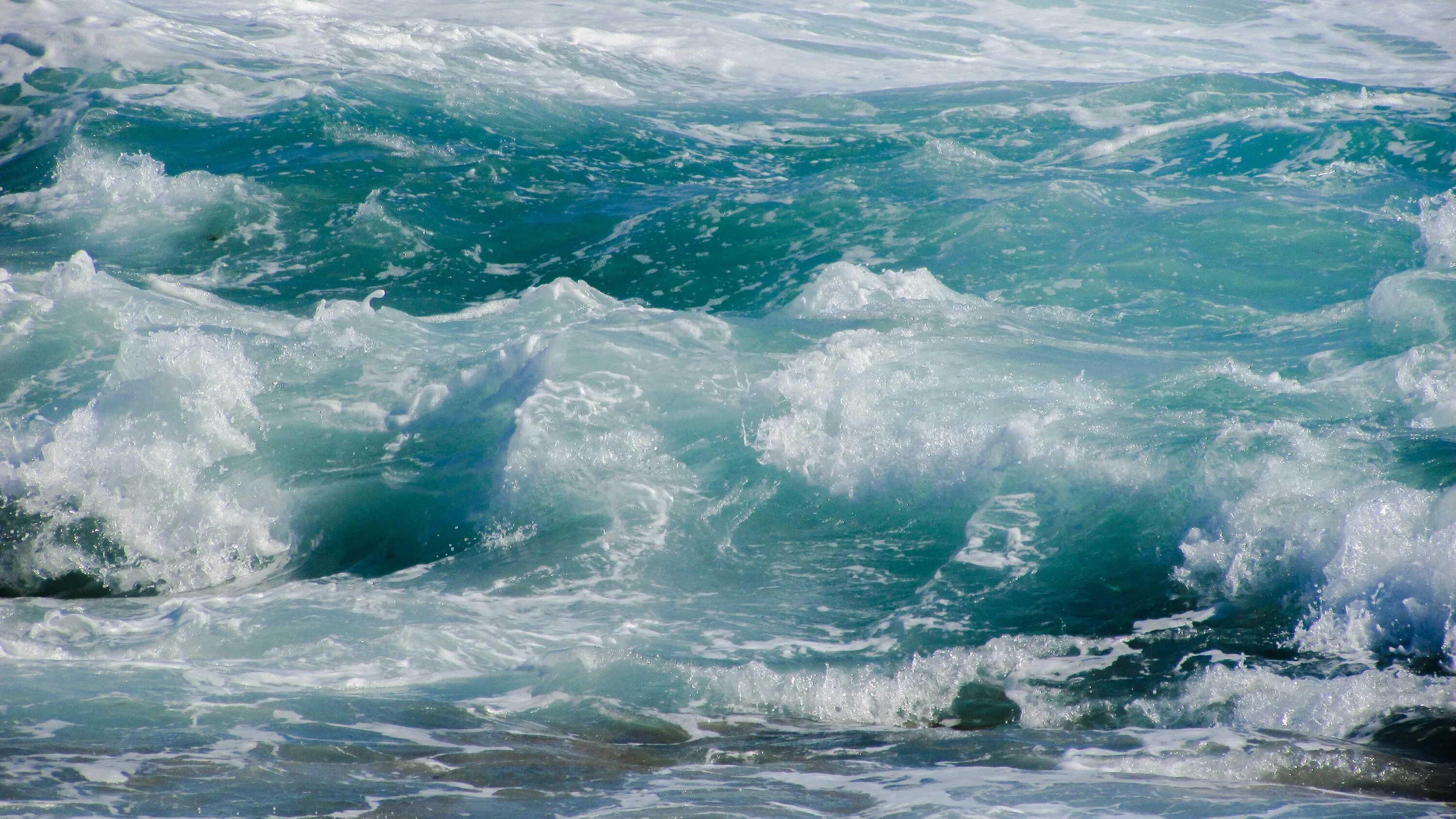 Океан. Океан волны. Бурлящее море. Море, волны. Пенные гребни волн