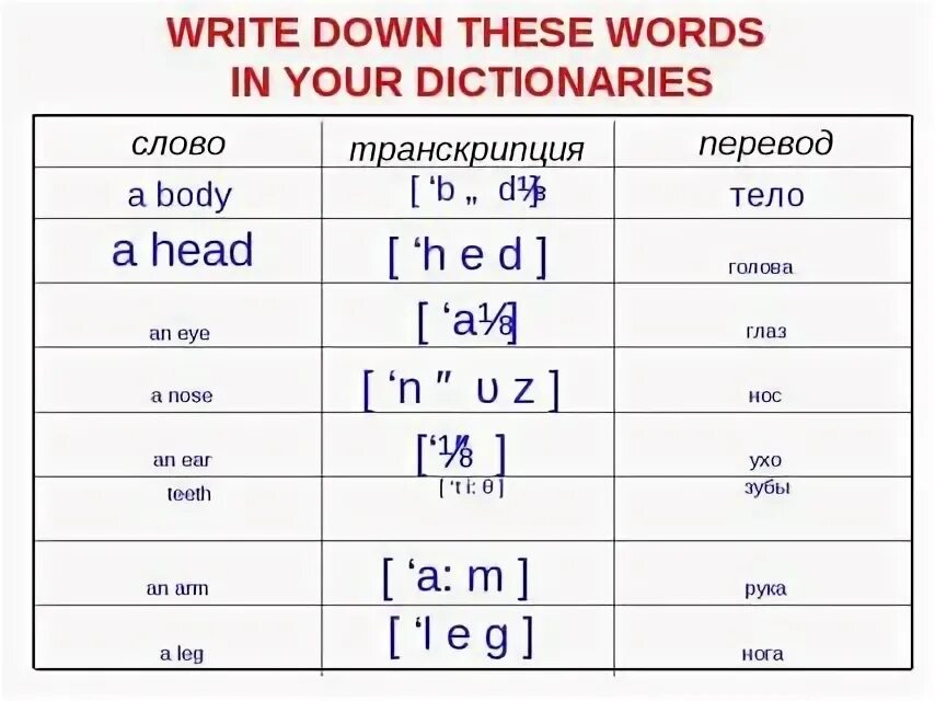 Как переводится those are. Those these транскрипция. Английский произношение. Как читается this на русском. Транскрипция слова.