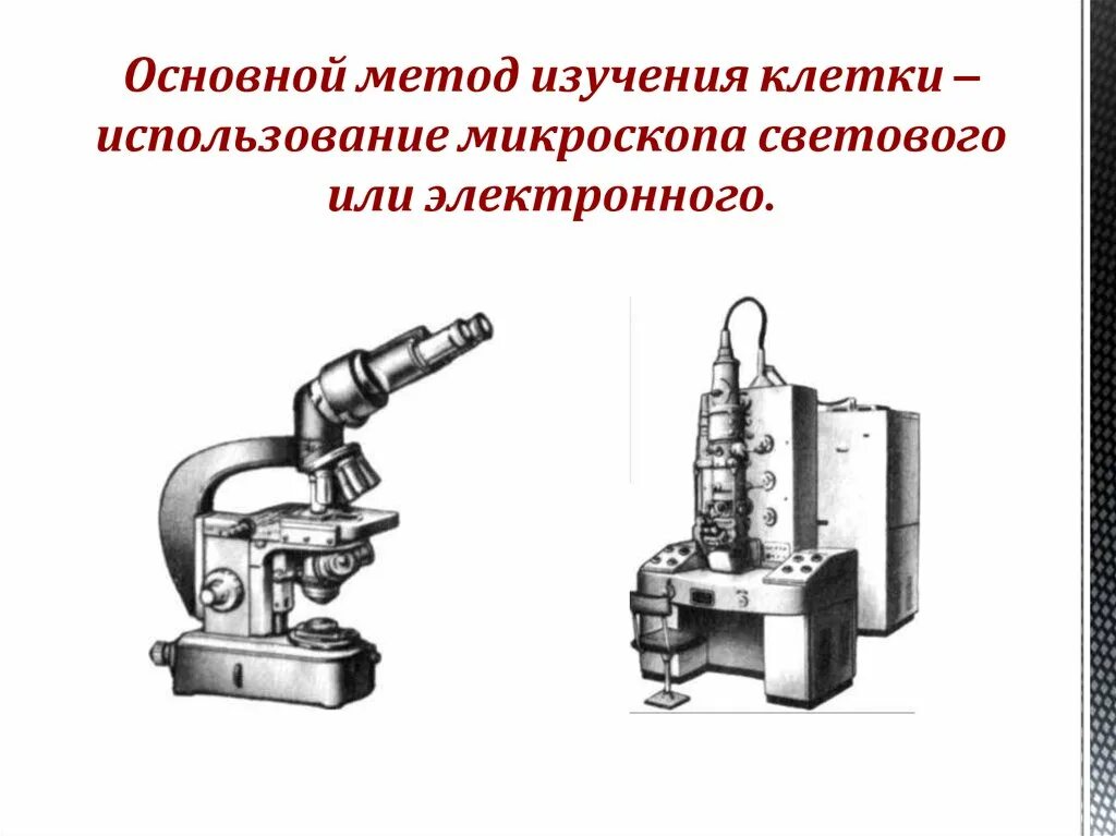 Метод изучения клетки. Методы исследования клетки. Основные методы изучения клетки. Современные методы изучения клетки.