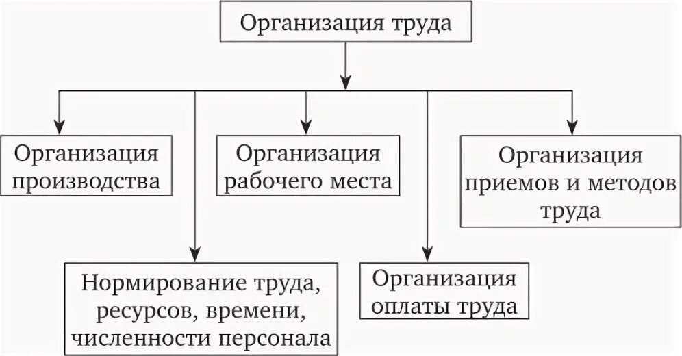 Организация оплаты труда в организации курсовая работа. Организация заработной платы на предприятии общественного питания. Организационное значение. Хозяйственные организации курсовая