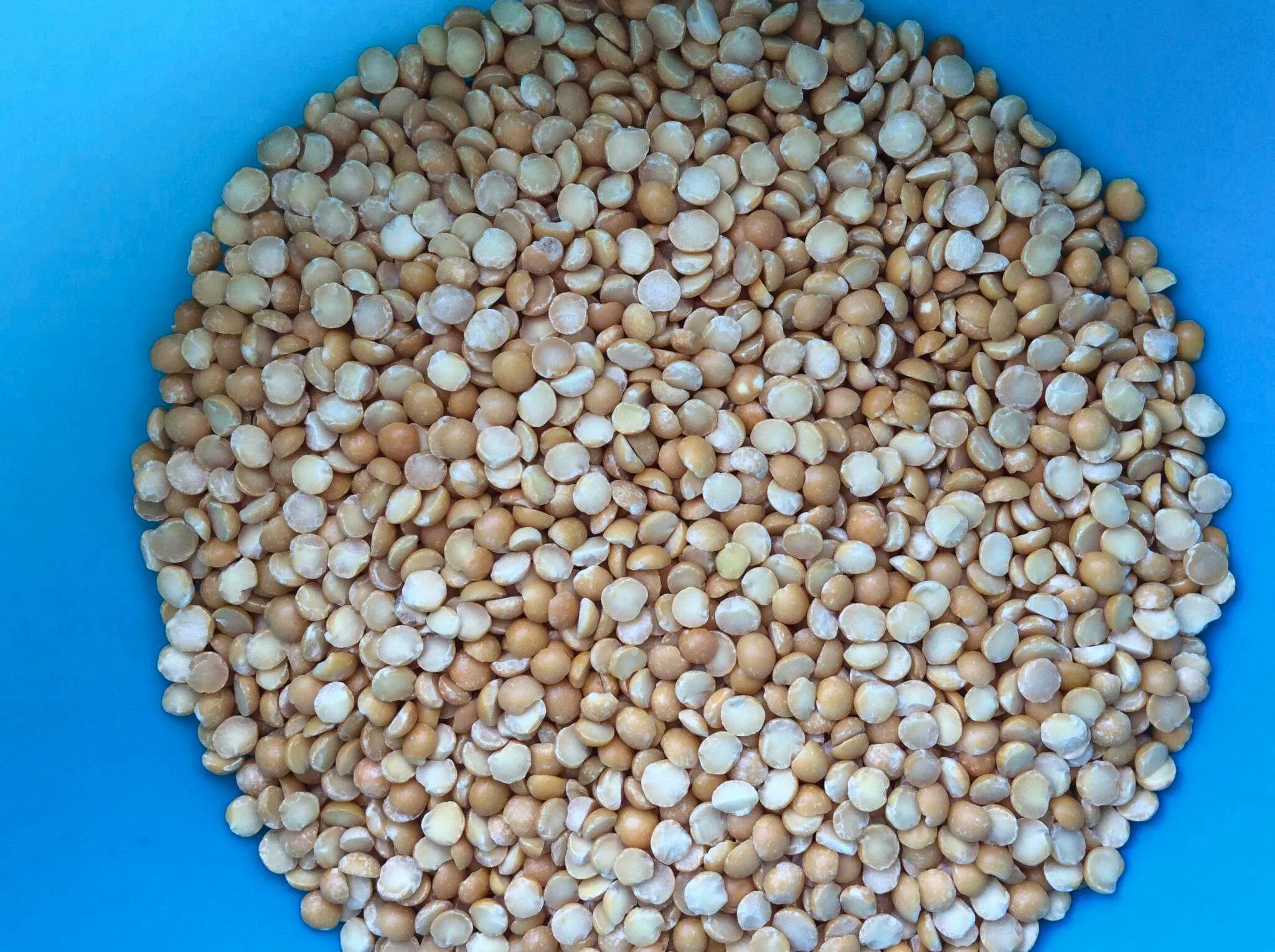 Горох мистраль айдахо колотый. Горох айдахо 450г мистраль. Горох в упаковке фирмы. Горох мистраль желтый колотый 500гр. Горох айдахо желт /мистраль/ 500г.