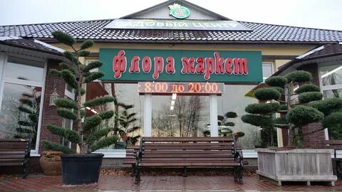 Маркет саратовская область