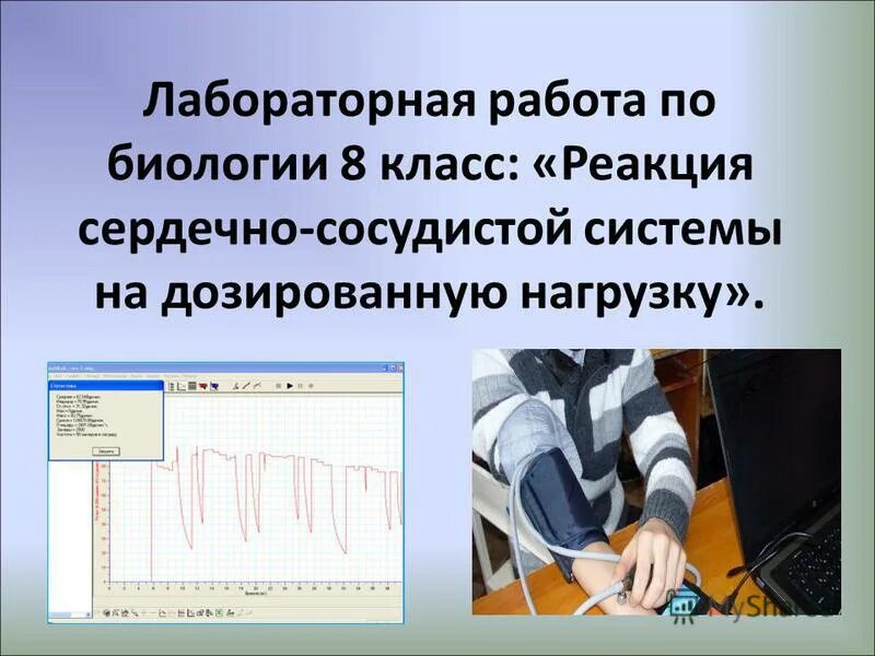 Работа функциональная сердечно сосудистая проба