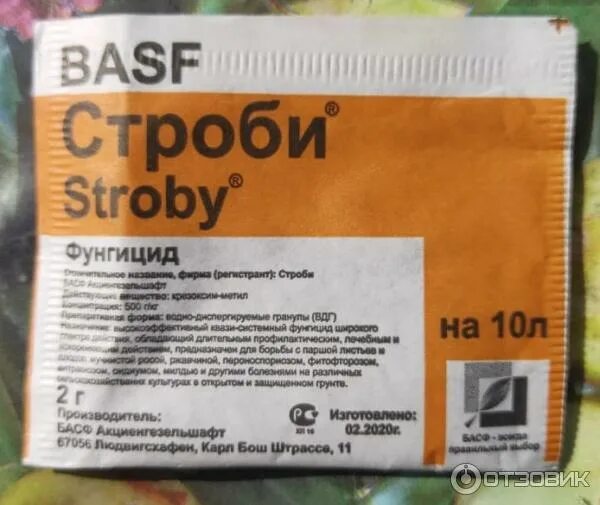 Basf строби отзывы. Basf строби отзывы
