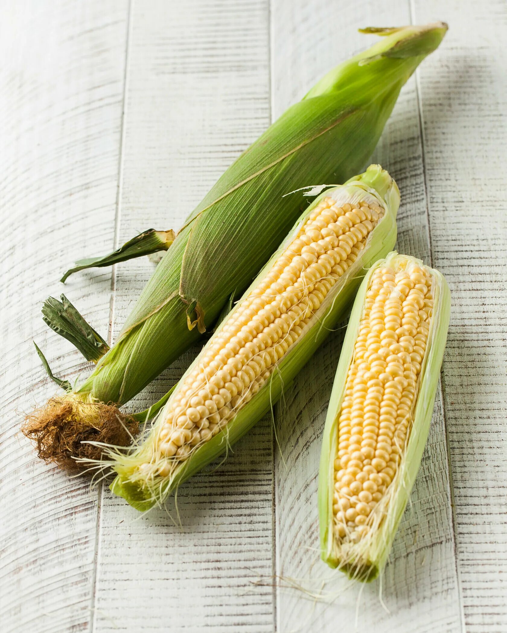 1 початок. Кукуруза початок. Кукуруза в початках купить. Сколько стоит кукуруза в початках. Кукурузные початки купить.