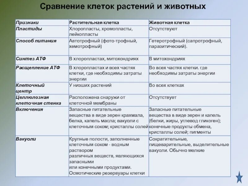 Сходство и различие клеток растений. Сравнение органоидов растительной и животной клетки таблица. Сравнение растительной и животной клетки таблица. Сравнение растительной и животной клетки. Животная клетка и растительная клетка сравнение.