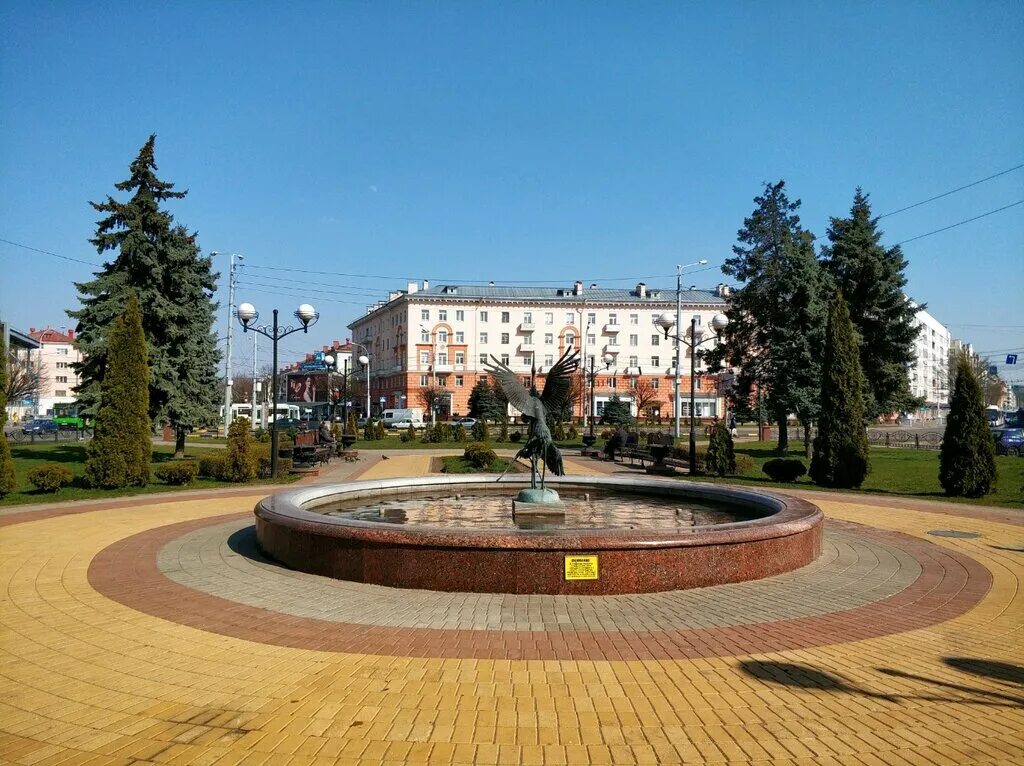 квартиры в городе гомель. квартиры в белоруссии гомель. квартиры в городе гомель. планировка гомеля. свиридова.