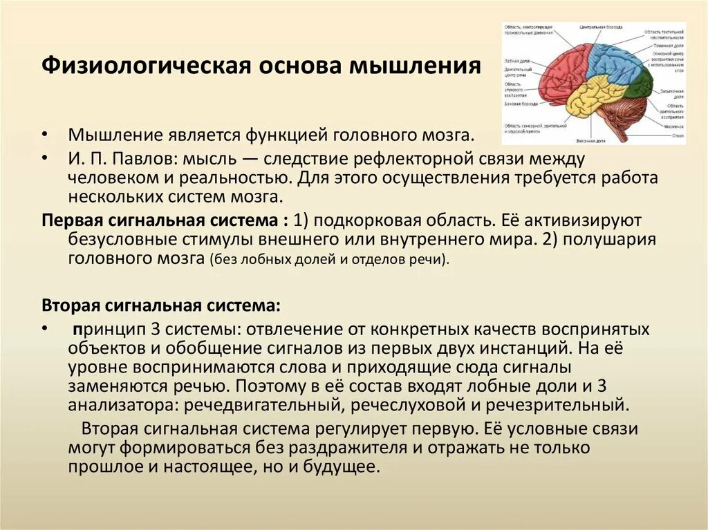 Как мышление связано с речью приведите примеры. Мышление физиология. Физиологические механизмы мышления. Физиологические механизмысышления. Мышление. Физиологические основы мышления.