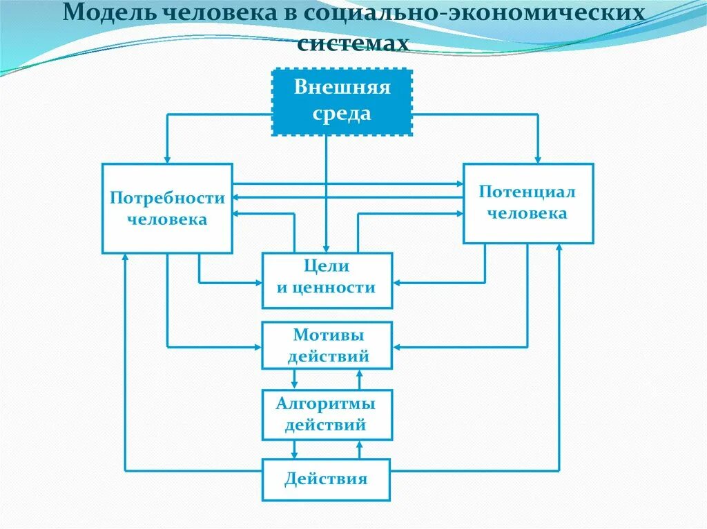 Модели человека в экономической системе. Структура модели человека в экономических системах. Социально-экономическая система. Социально экономическое моделирование. Модель социальных целей