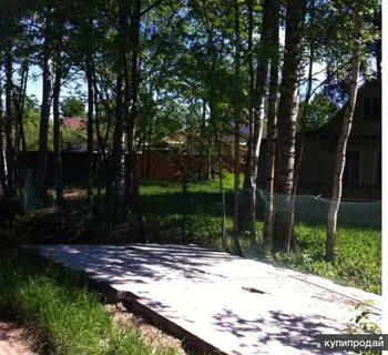 Морозовское городское поселение всеволожского