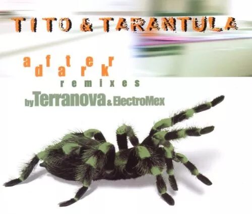 After dark tito. After dark tito. Tarantula after dark. Tito & tarantula — after dark remix. Tito tarantula от заката до рассвета.