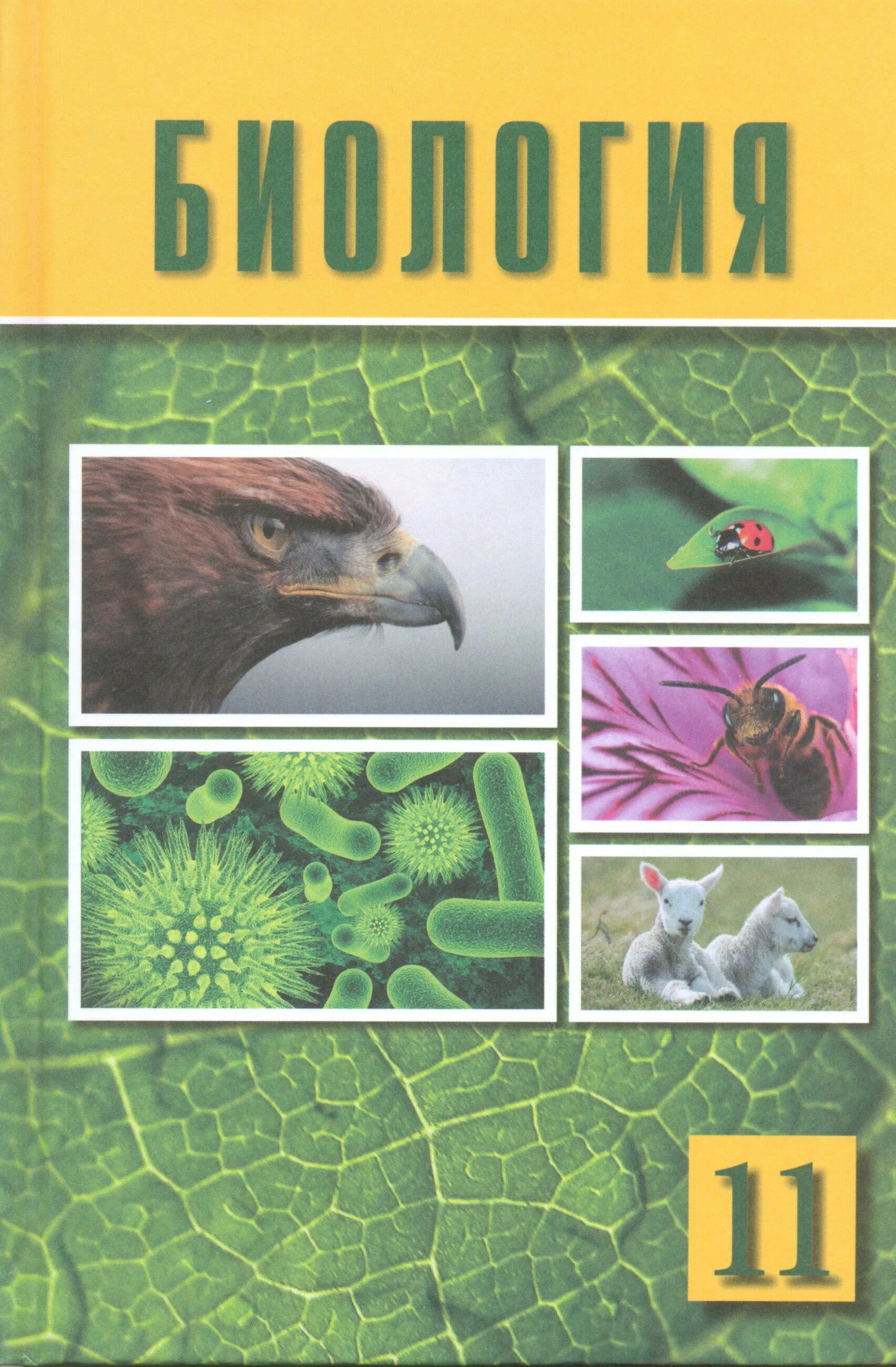 Биология емн 11 класс. Биология учебник. Школьные учебники биологии. Учебные пособия по биологии. Школьные учебники по биологии.