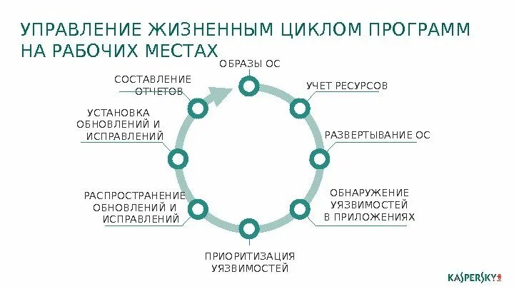 Цифровое управление жизненным циклом. Цифровое управление жизненным циклом