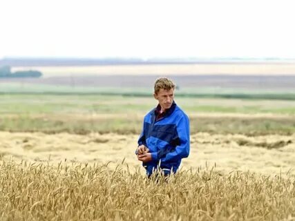 Погода агроном липецкая