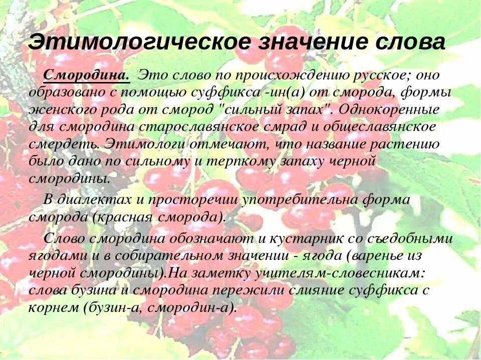 Этимологическое значение имен. Текст про собаку. Фамилии. Этимологическое значение. Значение слова месяц.