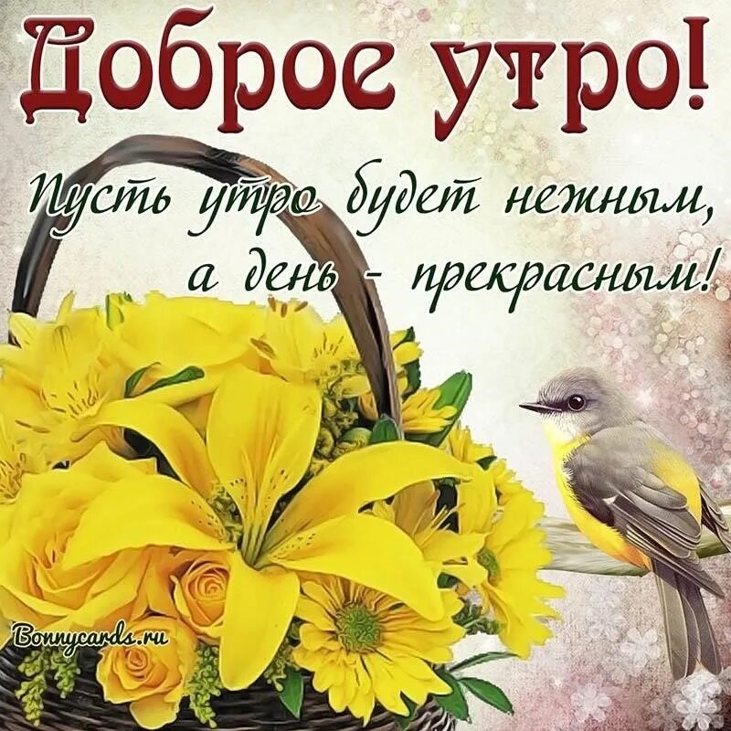 Открытки с добрым утром 13 августа. Пожелания с добрым утром с нарциссами. доброе утро отличного дня. пожелание с добрым утром с птицами. открытки с добрым утром цветочные.