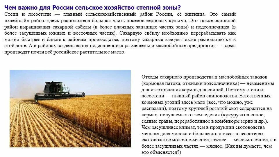 Фрг фрг специализация сельского хозяйства. Потребительское сельское хозяйство. Специализация сельского хозяйства японии. Сельское хозяйство и его особенности. Презентация на тему сельское хозяйство.