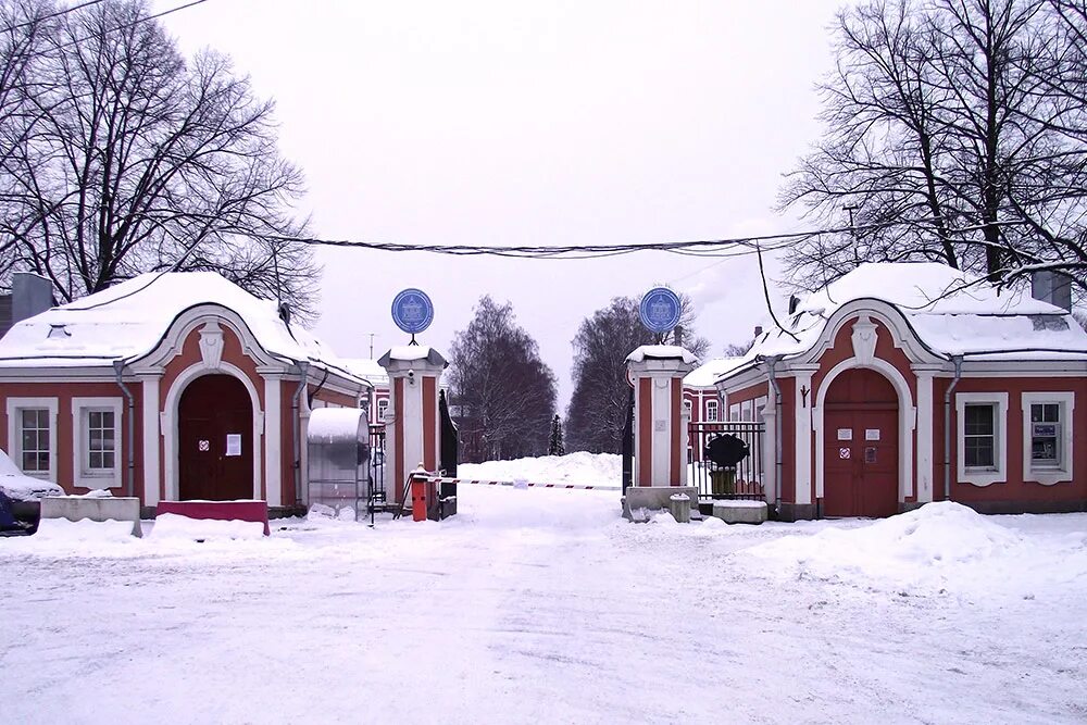 Клиника петра великого пискаревский 47. Больница им. Медицинский институт имени мечникова. Больница им мечникова. Больница им.