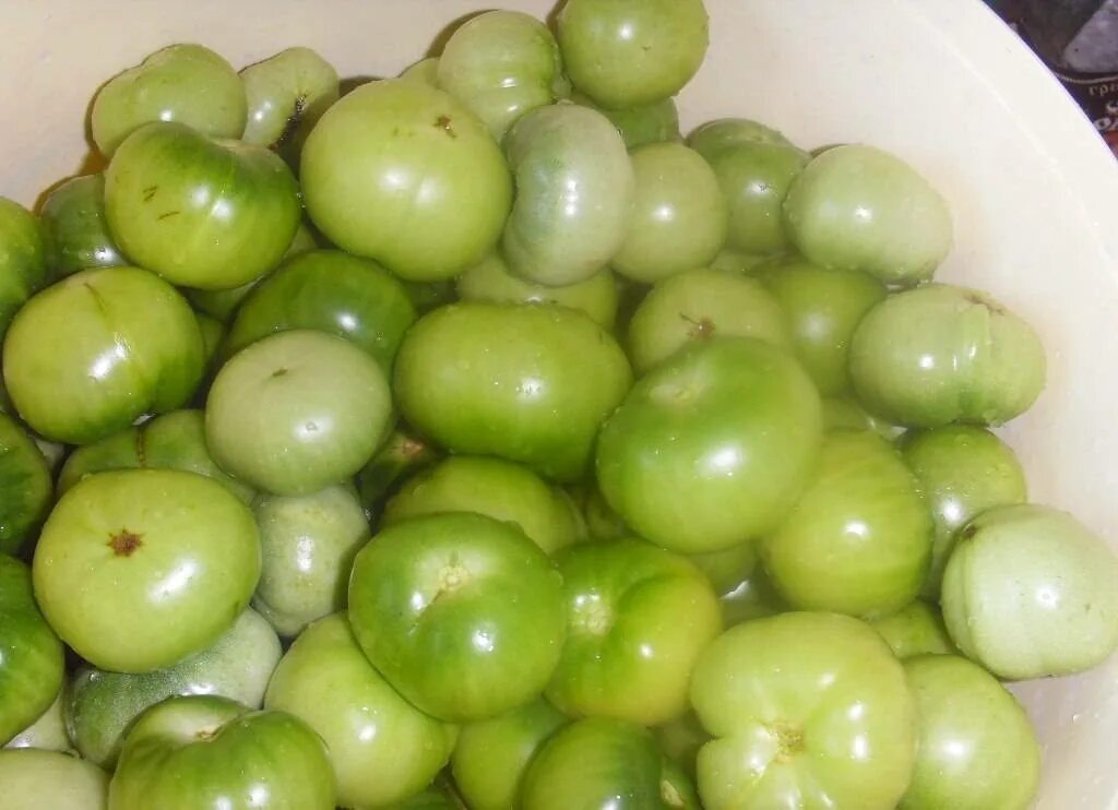 Купить зеленые томаты. Зеленые помидоры. Острые зеленые помидоры. Зелёные помидоры быстрого приготовления. Помидоры солёные зелёные.