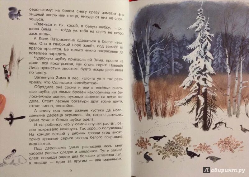 Зима обрядила сосны и ели в снеговые. Скребицкий зима обрядила. г скребицкий зима обрядила сосны и ели в снеговые шубы.