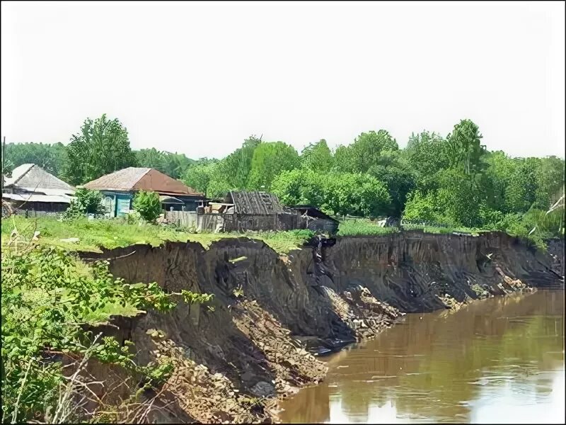 размыв берегов реки. размыв берегов реки. размыв берегов реки. река золотуха алтайский край локтевский. размыв русла.