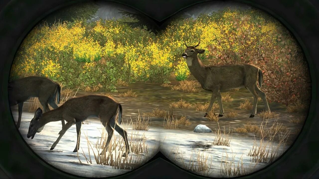Cabelas pro hunts. Cabela s big game hunter. охота cabela&#039;s big game hunter. cabela&#039;s big game hunter: pro hunts 2014. cabela&#039;s big hunter ps3.